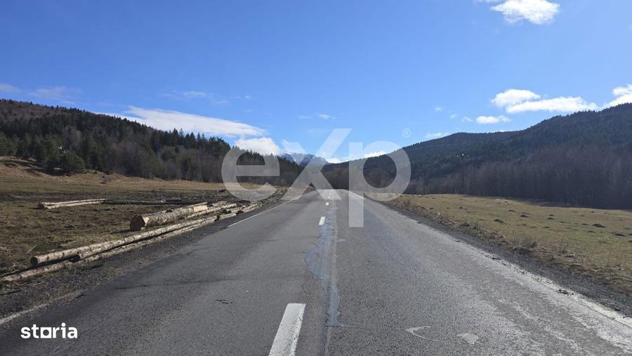 Teren extravilan 19.200 mp DN1A Sacele, Bradet | Front stradal 130 - 7