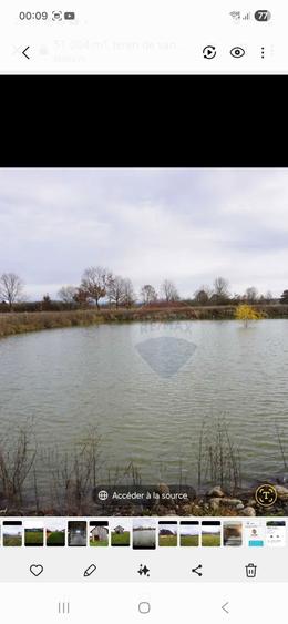 Vand Teren + Ferma+ Balta de peste in Comuna Sapanta judetul Maramures - 6