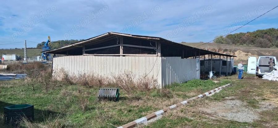 Ferma de vanzare , zona Dambu - 5