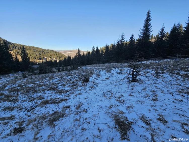 Teren extravilan de vanzare inconjurat de padure in Bucovina zona Breaza - 10