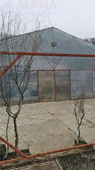 AFACERE LA CHEIE HALA PRODUCTIE + SERA PROFESIONALA - 12