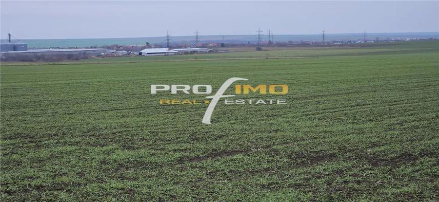 Plaja Corbu-Teren 4200mp. cu deschidere la Soseaua asfaltata - 8