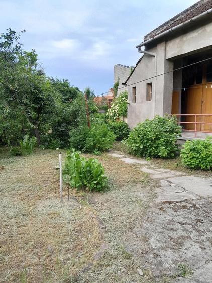 Casa de vanzare in Lugoj - 1