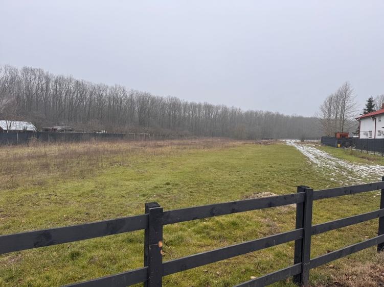 Teren Ciolpani: 500 mp langa padure si DN/ toate utilitatile - 6