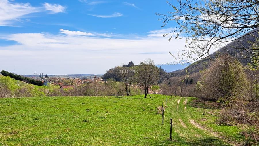 Terende vinzare in Cisnadioara 26800mp