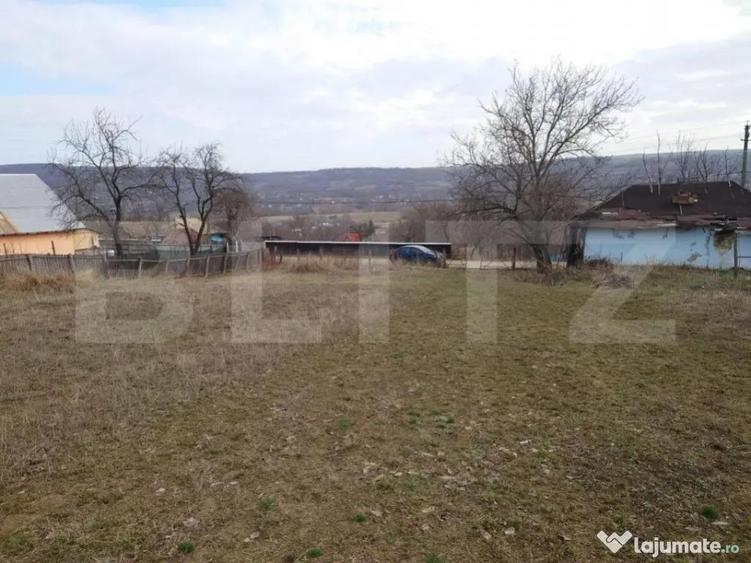 Teren intravilan 3712 mp + 2600 mp extravilan in Dobrovat - 6