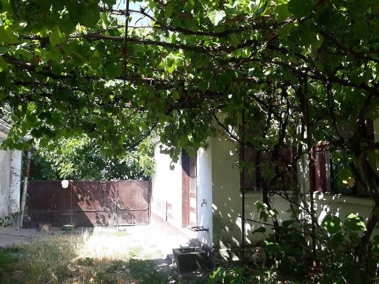 Uivar , loc bun , liniste !!! - 7
