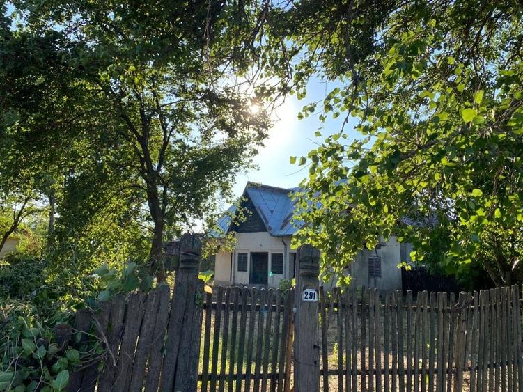 Casă de vânzare în satul Puțuri, comuna Castranova, județul Dolj - 6