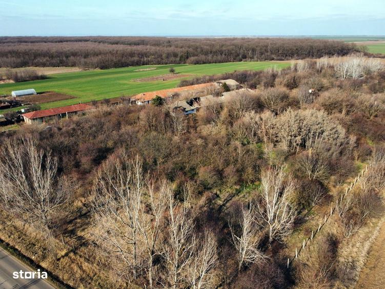 Ferma si livada de meri in judetul Ilfov - 2