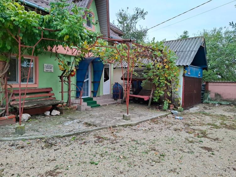 Oportunitate rară: gospodărie completă cu livadă și teren generos în Crâmpoia –  - 6