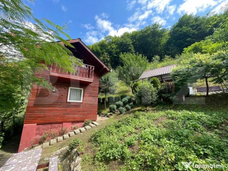 Casa de vacanta cu 4 camere, 1470 mp teren, Sugag - 11