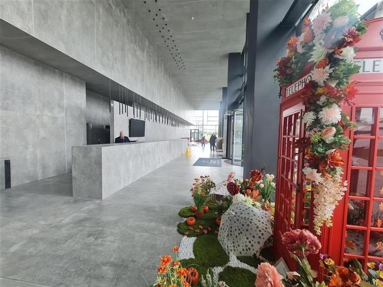 Spatii birouri de clasa A de inchiriat in London Building de la 550 mp - 2