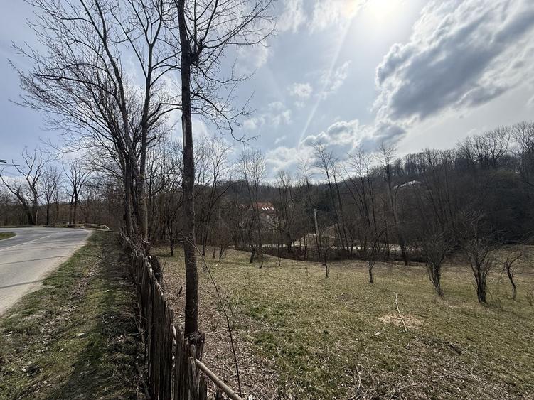 Teren intravilan la asfalt 2100 mp deschidere 21 mp la asfalt! - 4