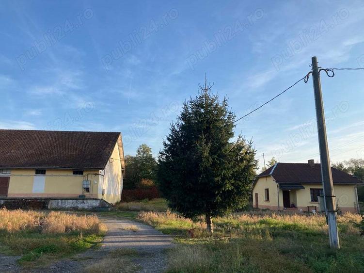 Hala de inchiriat - 4