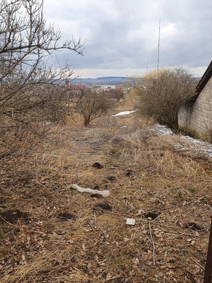 Teren Construcții extravilan de 10000 mp, în Bod - 12