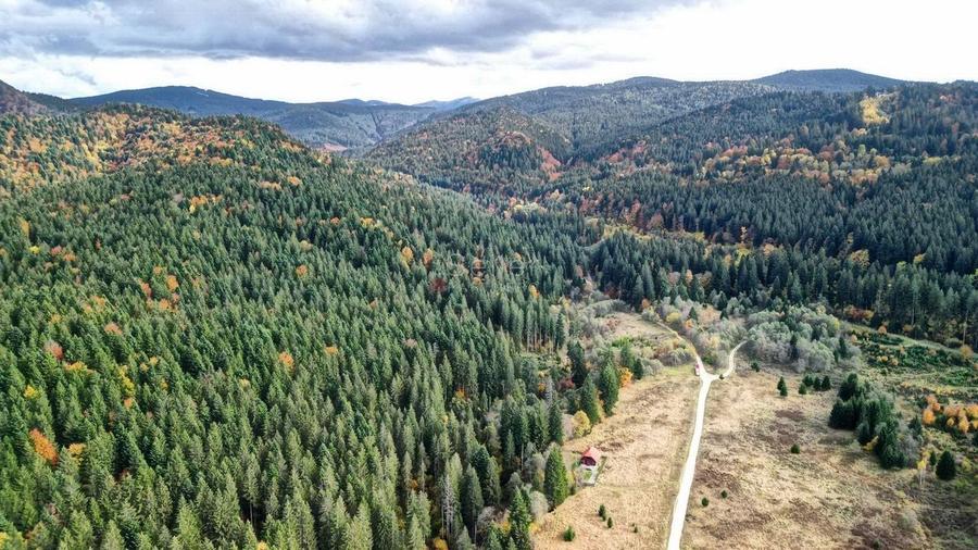 Poiana lui Manole - teren Intravilan - 1