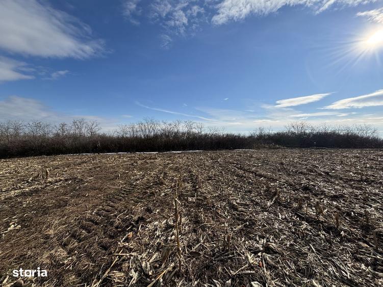 Teren pt investitie/ Valea Fanatelor/ 5 km de Auchan - 1
