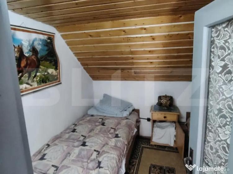 Cabana 5 camere Salard - 4