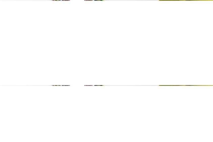 Spatiu profesional ultracentral Vila interbelica Renovat integral - 5