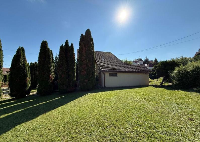 AA/1136 De inchiriat casa in Mures- Sancrai - 9