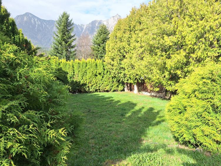 Vila Zamora, Busteni - 25