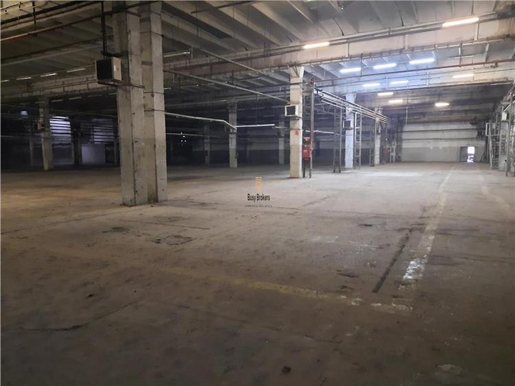 Spatiu Industrial - 5500 mp - Productie - Depozitare - 7