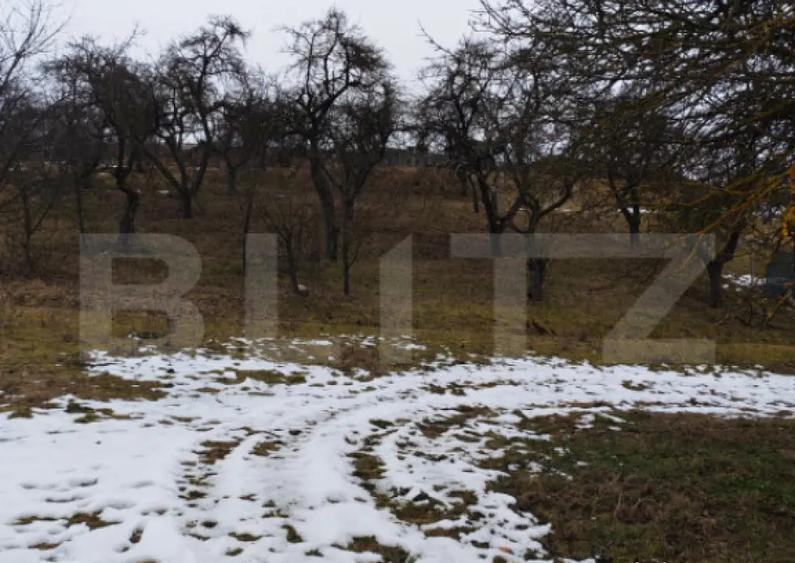 Teren intravilan in Mihai Viteazu, langa Turda, 2 parcele d - 5