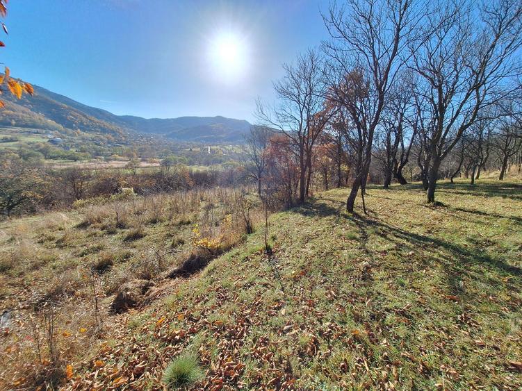 Vand teren la Sibiel - 1