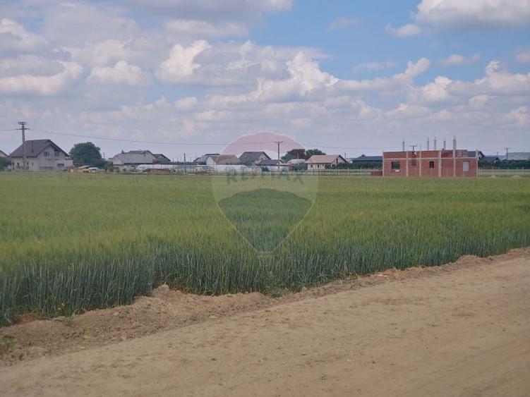 Teren intravilan 6,600mp Dumbraveni / Strada Principala spre Veresti - 10