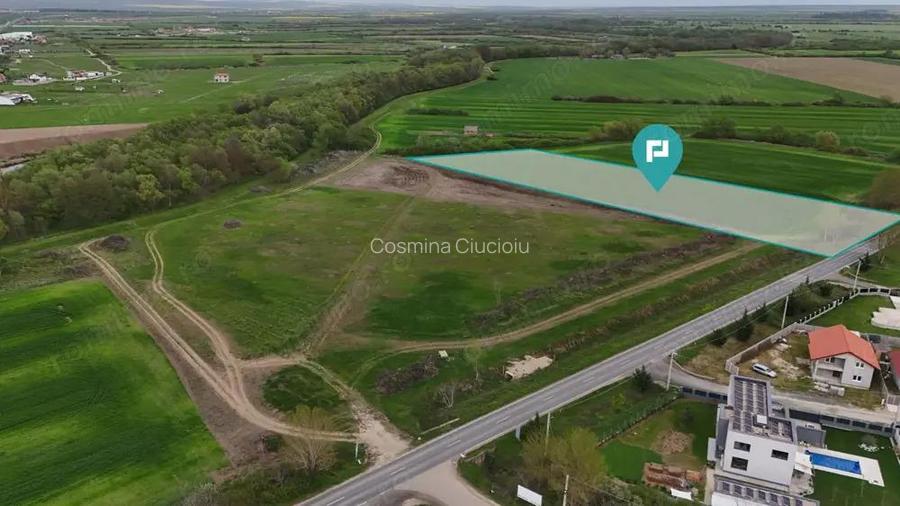 Teren intravilan 5800 mp in Remetea Mare