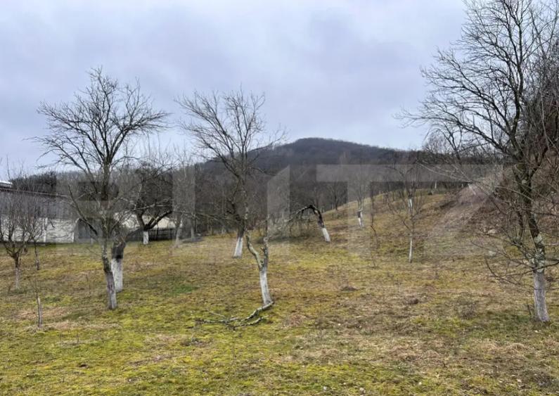Teren intravilan 3.709 mp, Geoagiu de Sus, Strem? - 1