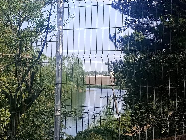 Teren superb  1100mp lac Găneasa - 9