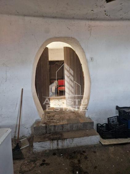 Casa individuala cu 3 camere ,teren 4222 mp in exclusivitate Dorobanti - 13