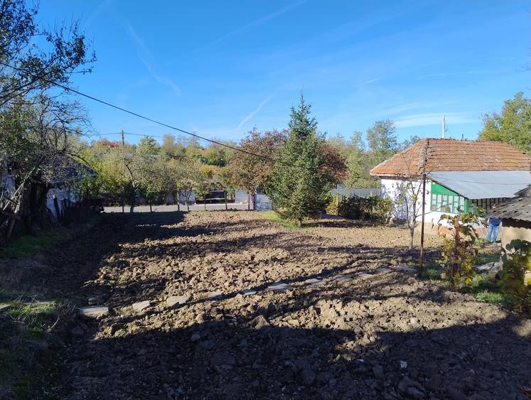 Sat Luptatori, comuna Frasinet, jud.Calarasi - 2