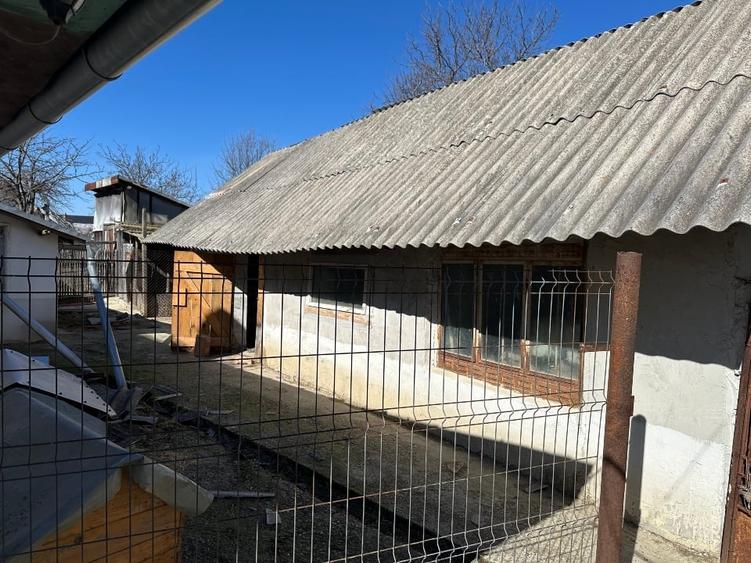 Casa batrineasca cu approx 2800 mp teren, vie, pomi fructiferi, zmeura, coacăze - 14