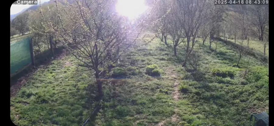 Teren intravilan casa - 5