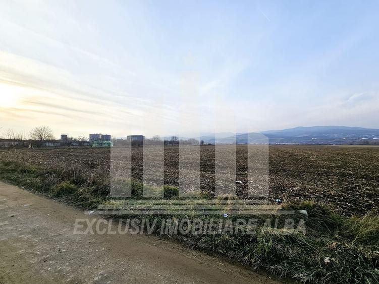 Teren intravilan | De vanzare | 780 mp | 30 ml deschidere | Partos - 4