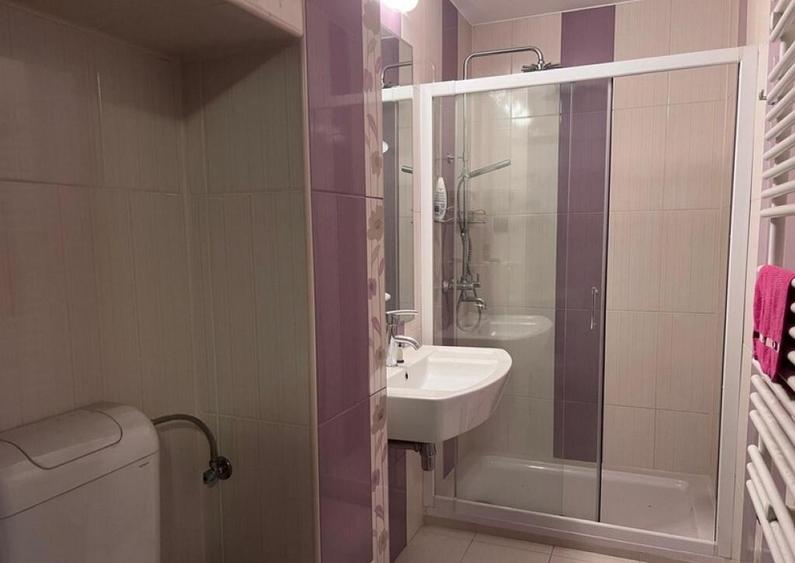 Apartament 2 camere in Deva, zona Liceul Auto - 13