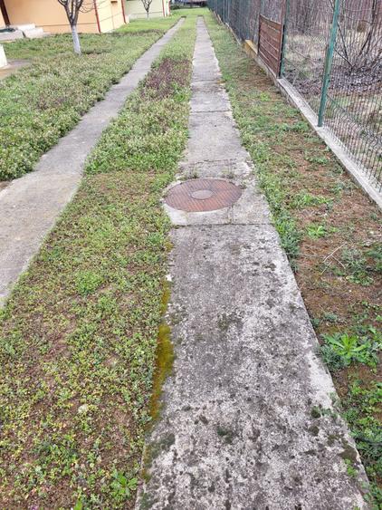 Ansamblu boutique cu 3 vile – libertate, spațiu și natură în Snagov - 4