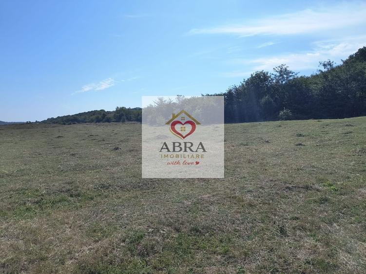 Teren intravilan investitie - 2