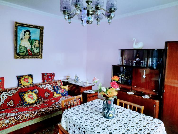 Ilia, proprietate deosebita - 13