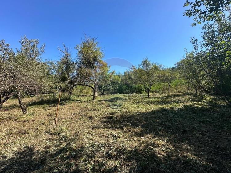 TEREN intravilan cu potential - 8