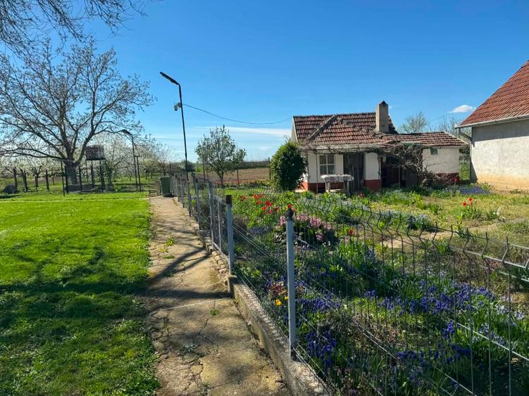 Casa de vanzare Tasnad  - 5