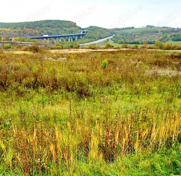 Parcele teren Sacel-Sibiel - 4