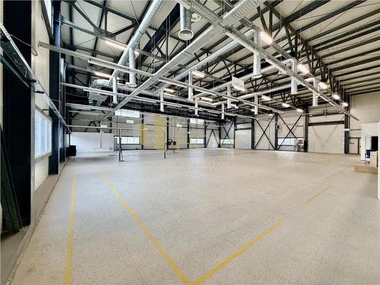 Hala industriala premium cu birouri | Parc Industrial Vest | Acces TIR - 5