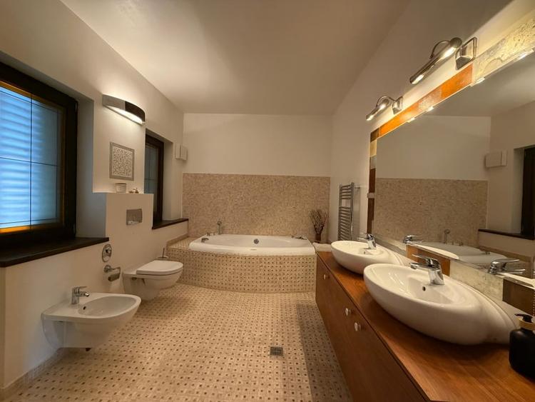 Casă individuală cu 9 camere cu Piscina în Iancu Nicolae