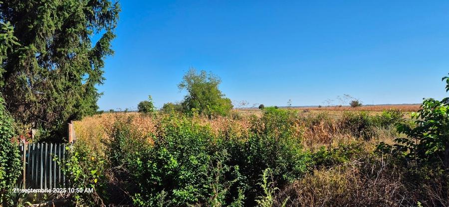 Tren intravilan Odobesti Dâmbovița 2100 mp, 45 min de București - 1