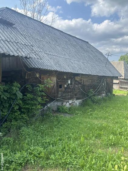 De vanzare casa la ?ara lini?te, natura ?i izvor de apa sarata! - 1
