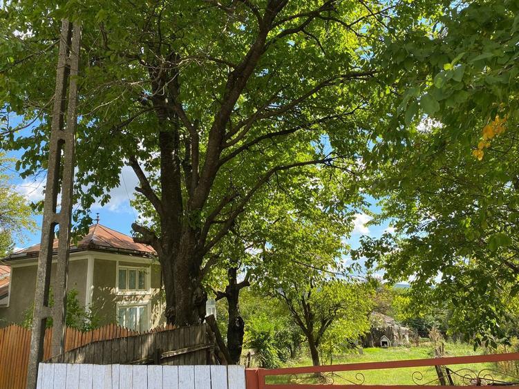 De vanzare casa spatioasa in Ciortesti, jud. Iasi - 2