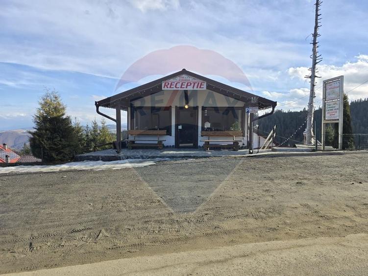 VILA ORHIDEEA  PENSIUNE  DE VANZARE IN STATIUNEA  PALTINIS JUD SIBIU - 7